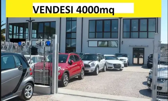 Rexer-Orbetello-Grande-Locale-commerciale-in-vendita-ad-Orbetello-Altro