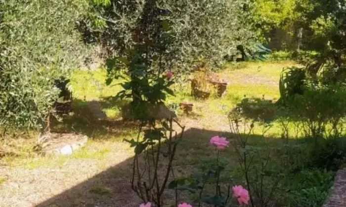 Rexer-Licciana-Nardi-Terratetto-unifamiliare-Strada-Provinciale-Fivizzano-Licciana-Bagnone-Licciana-Nardi-Giardino