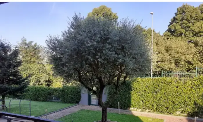 Rexer-Valmontone-Villa-in-vendita-in-via-Mario-Piacentini-Valmontone-Giardino
