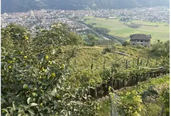 Rexer-Civo-Casalecascina-in-vendita-in-localit-Civasca-Terrazzo