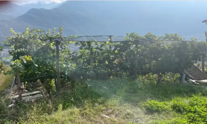 Rexer-Civo-Casalecascina-in-vendita-in-localit-Civasca-Terrazzo