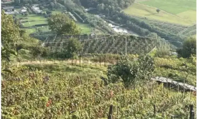 Rexer-Civo-Casalecascina-in-vendita-in-localit-Civasca-Terrazzo