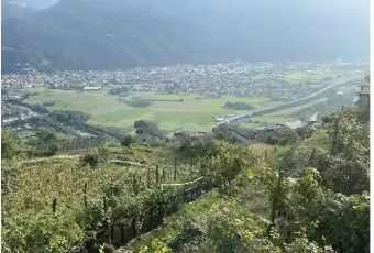 Rexer-Civo-Casalecascina-in-vendita-in-localit-Civasca-Terrazzo