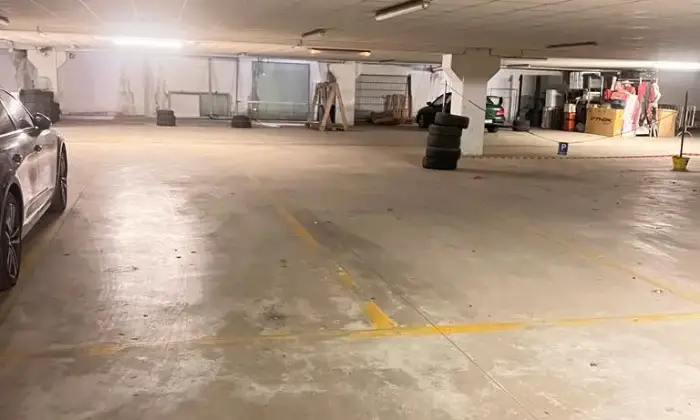 Rexer-Savignano-sul-Rubicone-AFFITTASI-POSTO-AUTO-Altro