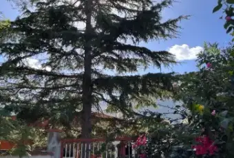 Rexer-Altavilla-Milicia-Villa-in-vendita-in-via-San-Michele-Giardino