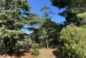 Rexer-Altavilla-Milicia-Villa-in-vendita-in-via-San-Michele-Giardino