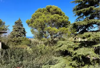 Rexer-Altavilla-Milicia-Villa-in-vendita-in-via-San-Michele-Giardino