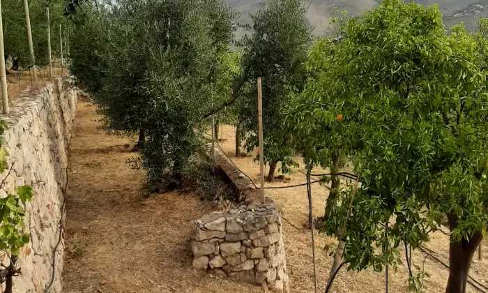 Rexer-Itri-Villa-panoramica-piscina-privata-giardino-zona-barbecue-forno-pizze-uliveto-giardino