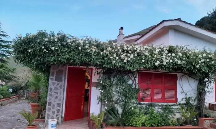 Rexer-Itri-Villa-panoramica-piscina-privata-giardino-zona-barbecue-forno-pizze-uliveto-ingresso