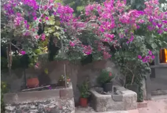Rexer-Castiglione-di-Sicilia-Vendesi-rustico-in-SPi-a-Castiglione-di-Sicilia-Terrazzo