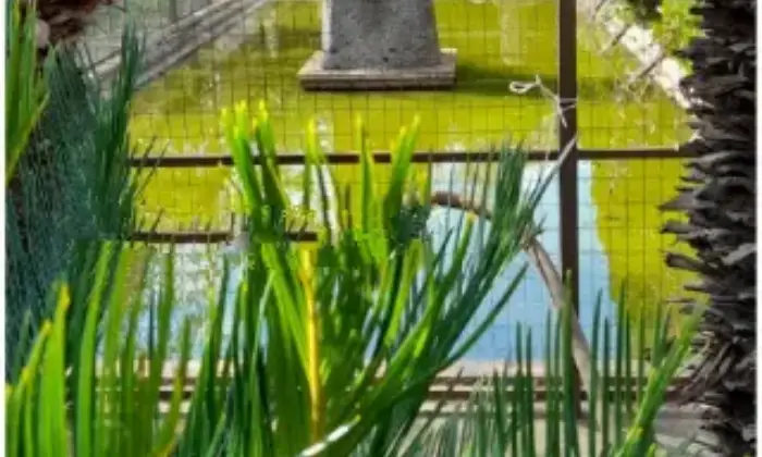 Rexer-Castiglione-di-Sicilia-Vendesi-rustico-in-SPi-a-Castiglione-di-Sicilia-Giardino