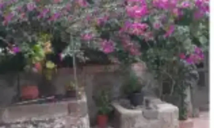 Rexer-Castiglione-di-Sicilia-Vendesi-rustico-in-SPi-a-Castiglione-di-Sicilia-Terrazzo