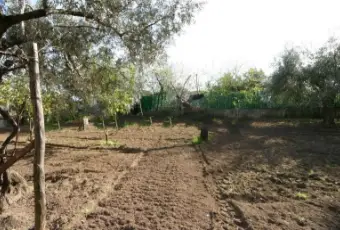 Rexer-Casapulla-Masseria-in-vendita-in-via-S-Giovanni-Casapulla-Giardino