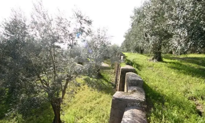 Rexer-Casapulla-Masseria-in-vendita-in-via-S-Giovanni-Casapulla-Terrazzo