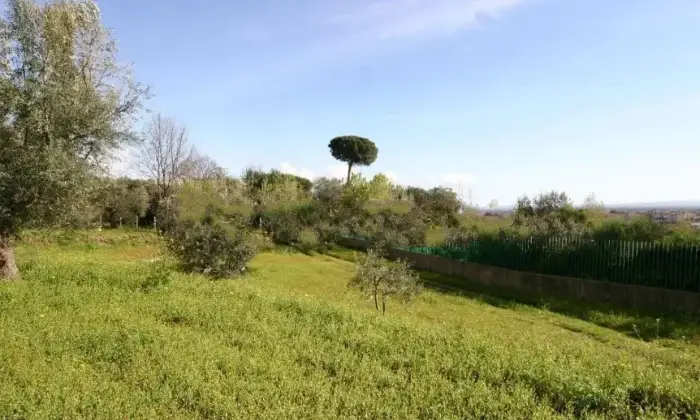 Rexer-Casapulla-Masseria-in-vendita-in-via-S-Giovanni-Casapulla-Terrazzo