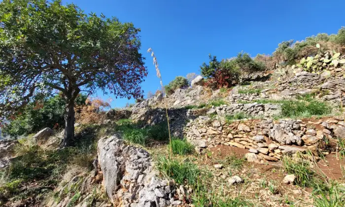 Rexer-Monreale-Terreno-edificabile-con-casetta-e-vista-panoramica-Terrazzo