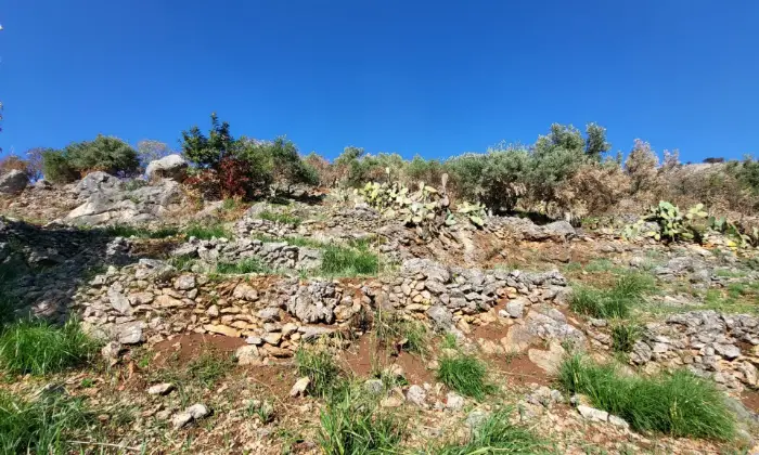 Rexer-Monreale-Terreno-edificabile-con-casetta-e-vista-panoramica-Terrazzo