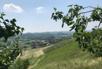 Rexer-Canale-Propriet-rustica-in-vendita-in-via-San-Defendente-a-Canale-Terrazzo