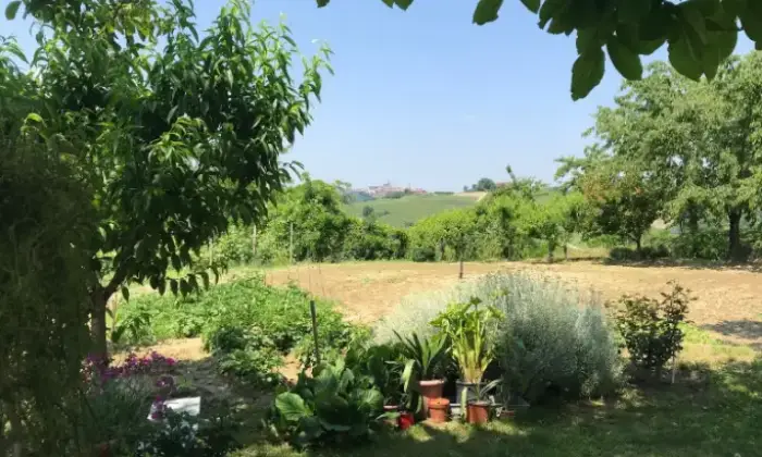 Rexer-Canale-Propriet-rustica-in-vendita-in-via-San-Defendente-a-Canale-Giardino
