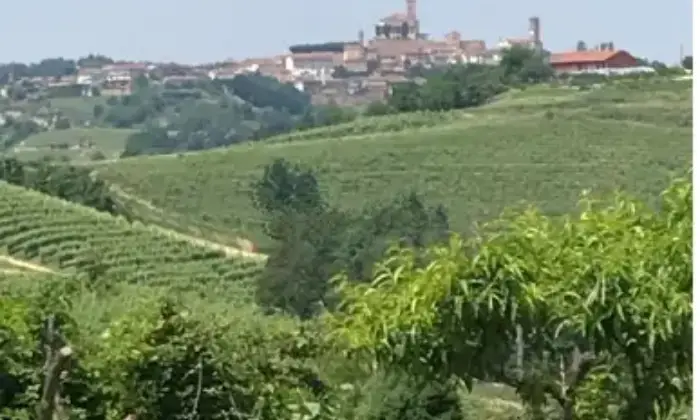 Rexer-Canale-Propriet-rustica-in-vendita-in-via-San-Defendente-a-Canale-Terrazzo