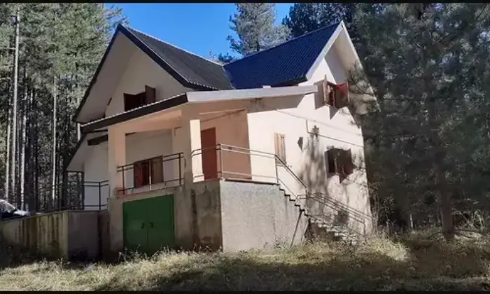 Rexer-Spezzano-della-Sila-Vendesi-villa-adiacente-al-parco-Nazionale-della-Sila-Giardino