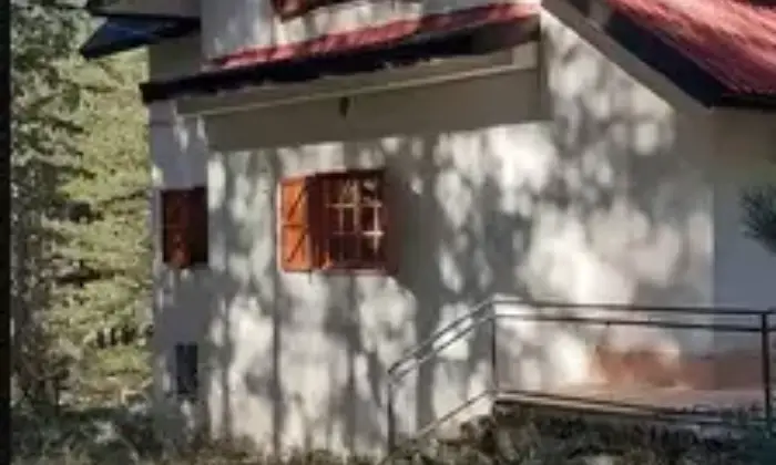 Rexer-Spezzano-della-Sila-Vendesi-villa-adiacente-al-parco-Nazionale-della-Sila-Giardino