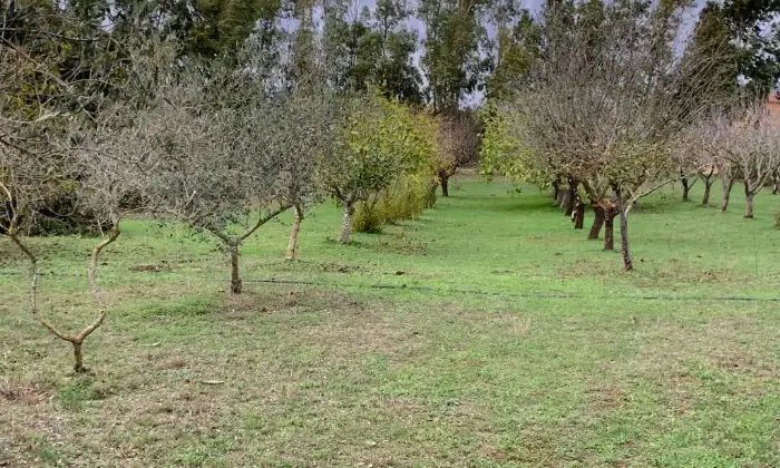 Rexer-Alghero-Villa-in-vendita-zona-Porto-Ferro-ad-Alghero-Giardino