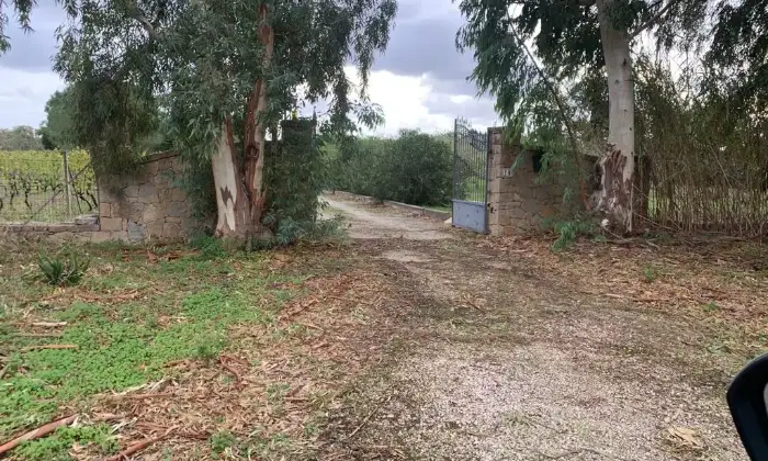 Rexer-Alghero-Villa-in-vendita-zona-Porto-Ferro-ad-Alghero-ALTRO