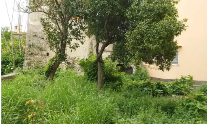 Rexer-Cava-de-Tirreni-Propriet-rustica-in-vendita-in-via-Marghieri-Cava-de-Tirreni-Giardino