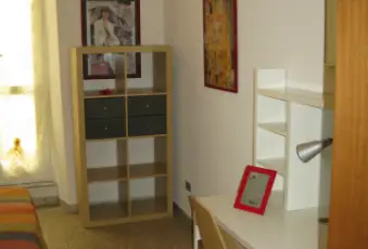Rexer-Roma-PINETA-SACCHETTI-BOCCEA-TORREVECCHIA-UNIVERSITA-GEMELLI-UNIVERSITA-LUMSA-Altro