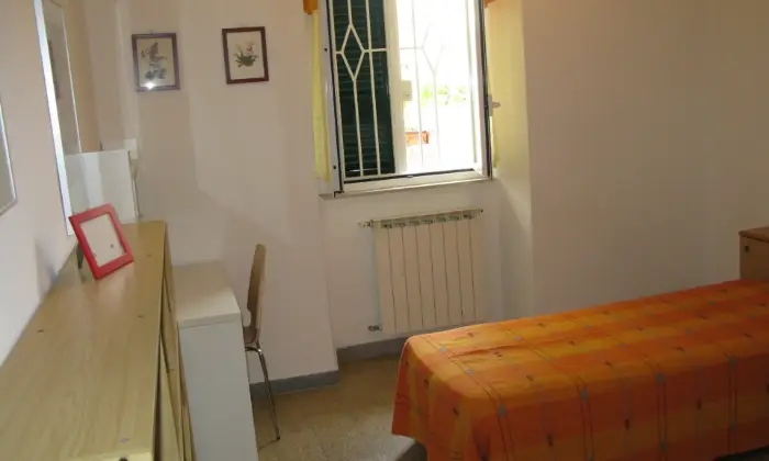 Rexer-Roma-PINETA-SACCHETTI-BOCCEA-TORREVECCHIA-UNIVERSITA-GEMELLI-UNIVERSITA-LUMSA-Altro