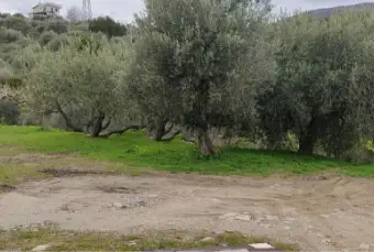 Rexer-Patti-Patti-rustico-di-mq-in-costruzione-Terrazzo