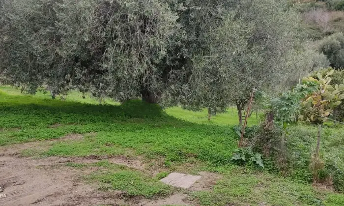 Rexer-Patti-Patti-rustico-di-mq-in-costruzione-Terrazzo