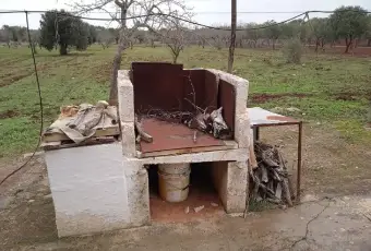Rexer-Ostuni-Ostuni-BR-rustico-in-vendita-Giardino