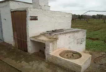 Rexer-Ostuni-Ostuni-BR-rustico-in-vendita-Giardino