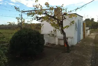 Rexer-Ostuni-Ostuni-BR-rustico-in-vendita-Giardino