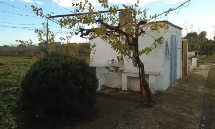 Rexer-Ostuni-Ostuni-BR-rustico-in-vendita-Giardino
