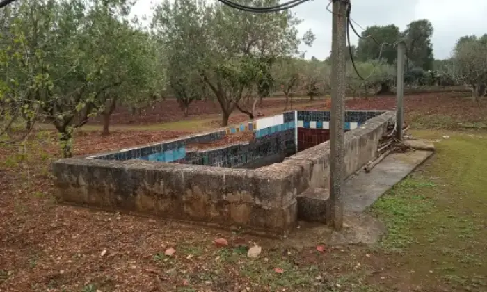 Rexer-Ostuni-Ostuni-BR-rustico-in-vendita-Giardino