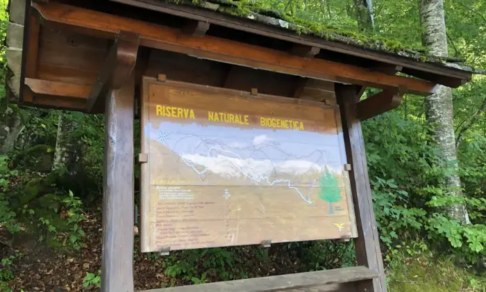 Rexer-Abetone-Cutigliano-Bilocale-in-vendita-in-via-del-Sestaione-ad-Abetone-Cutigliano-Nella-localit-di-Pian-di-Novello-Altro