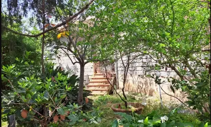 Rexer-Olzai-Villa-singola-in-vendita-a-Olzai-NU-Giardino