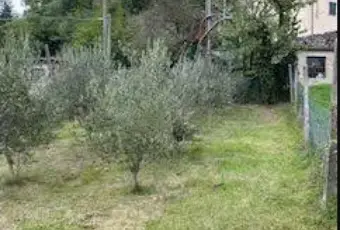 Rexer-Marradi-Trilocale-via-Luigi-Fabbrini-Giardino