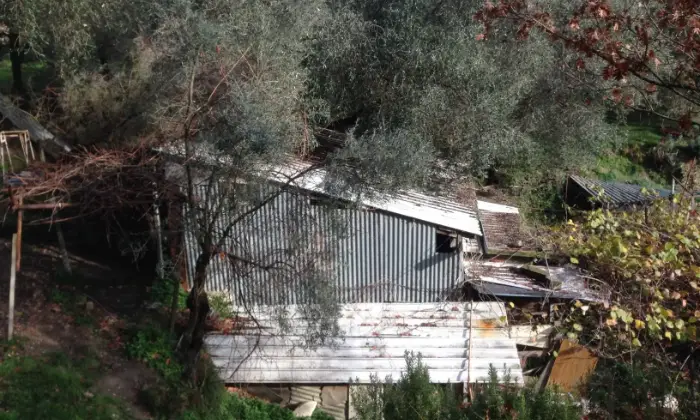 Rexer-Balestrino-Uliveto-con-fabbricati-Garage