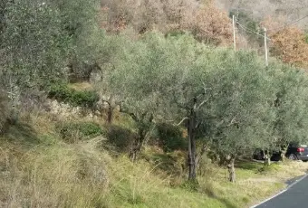 Rexer-Balestrino-Uliveto-sulle-alture-vista-mare-Terrazzo