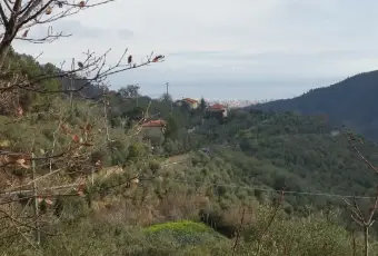 Rexer-Balestrino-Uliveto-sulle-alture-vista-mare-Terrazzo