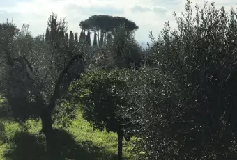 Rexer-Cori-Terreno-di-mq-edificabile-in-zona-artigianale-Terrazzo