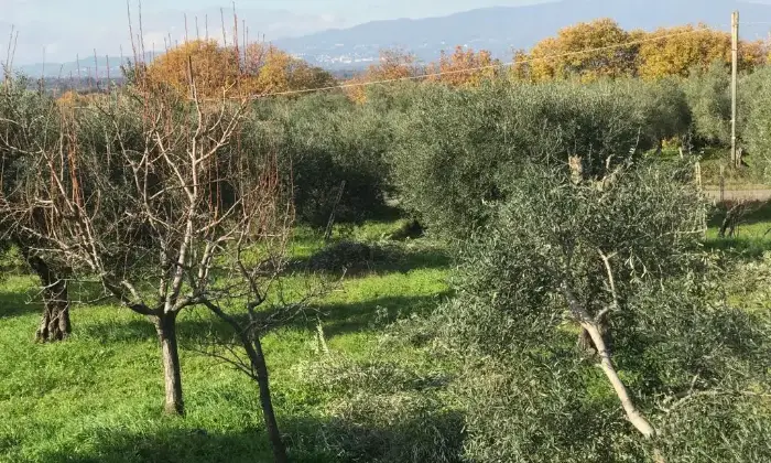 Rexer-Cori-Terreno-di-mq-edificabile-in-zona-artigianale-Terrazzo