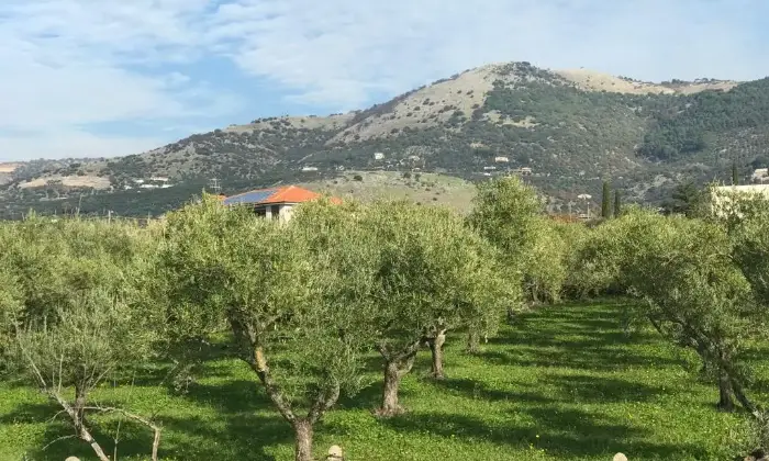 Rexer-Cori-Terreno-di-mq-edificabile-in-zona-artigianale-Terrazzo