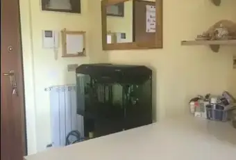 Rexer-Aulla-Appartamento-in-vendita-in-via-Vignara-ad-Aulla-Altro