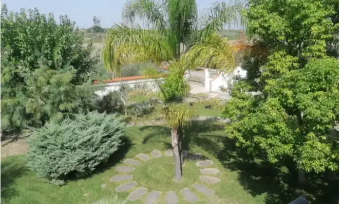 Rexer-Scanzano-Jonico-Villa-in-vendita-in-via-Piemonte-Giardino