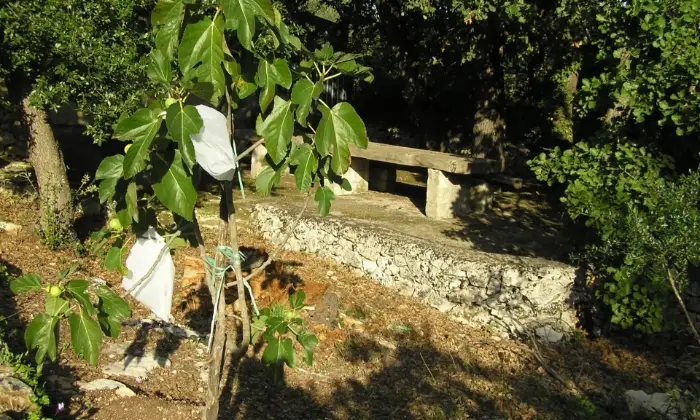 Rexer-Noto-Villetta-Buen-Retiro-Terrazzo